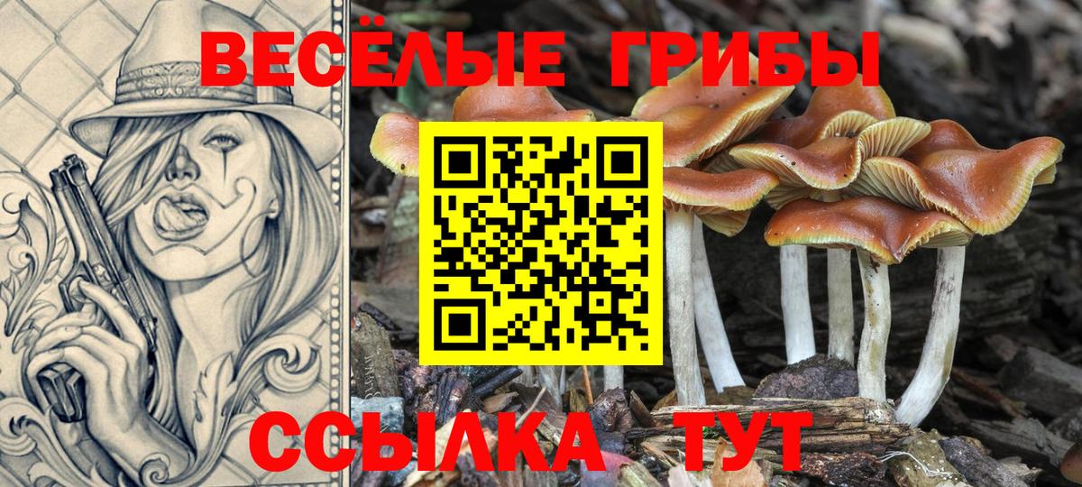 Псилоцибиновые грибы MAGIC MUSHROOMS Петрозаводск