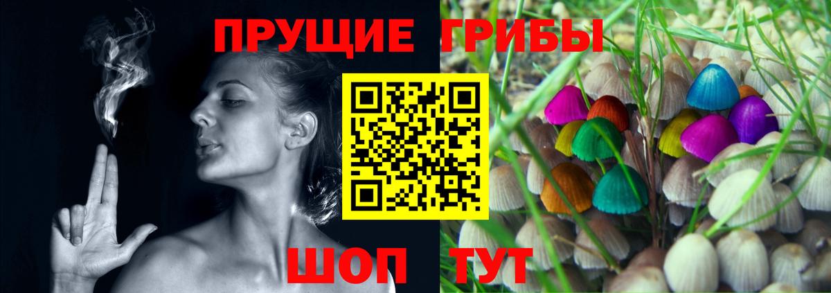 Петрозаводск  Галлюциногенные грибы мицелий  Вход с VPN  Псилоцибиновые грибы мухоморы 